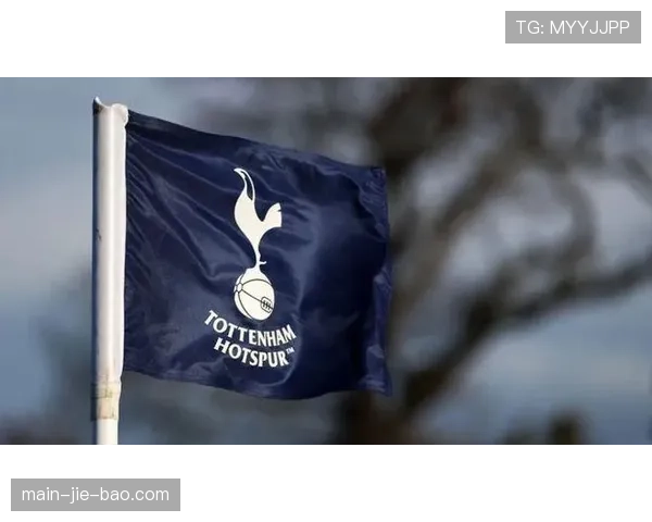 财务简报:热刺公布上季度财报,比赛日收入因欧冠赛事大幅增长